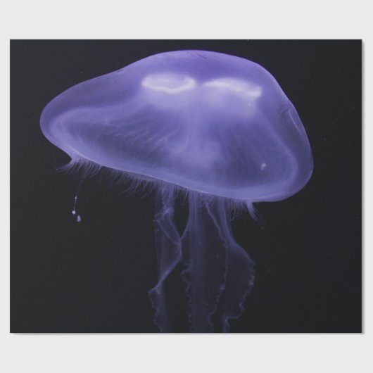 Meereswellen Geschenkpapier (Flach)