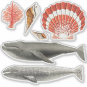 MEERESWELT AQUATIC STICKER SAMMLUNG MIT WALEN (Vorderseite)