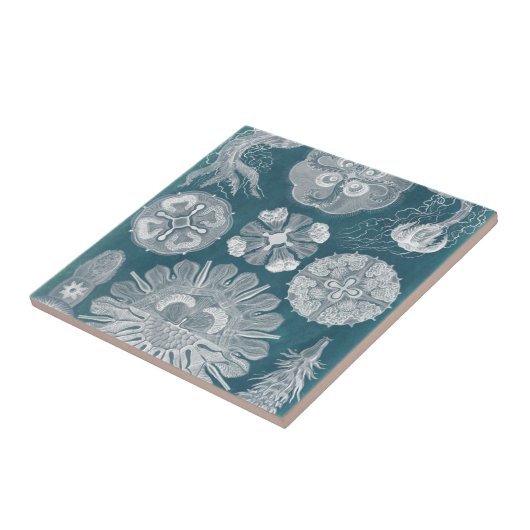 Meereswelt Blueprint IV Fliese (Seite)