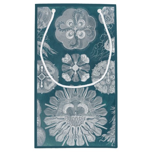 Meereswelt Blueprint IV Kleine Geschenktüte (Rückseite)