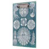 Meereswelt Blueprint IV Klemmbrett (Links)