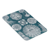 Meereswelt Blueprint IV Magnet (Rechte Seite)