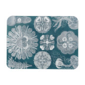 Meereswelt Blueprint IV Magnet (Horizontal)