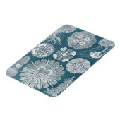 Meereswelt Blueprint IV Magnet (Linke Seite)