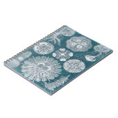 Meereswelt Blueprint IV Notizblock (Linke Seite)