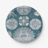 Meereswelt Blueprint IV Pappteller (Vorderseite)