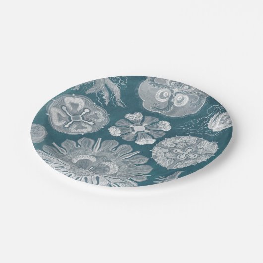 Meereswelt Blueprint IV Pappteller (Schrägansicht)