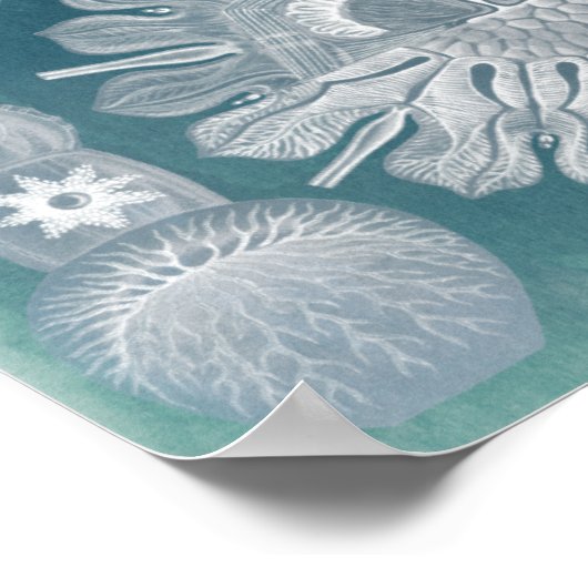 Meereswelt Blueprint IV Poster (Ecke)