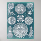 Meereswelt Blueprint IV Poster (Vorne)