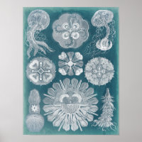 Meereswelt Blueprint IV