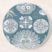 Meereswelt Blueprint IV Sandstein Untersetzer (Vorne)