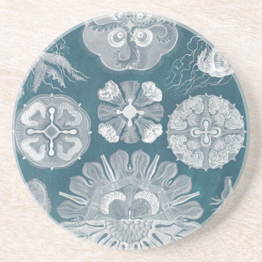 Meereswelt Blueprint IV Sandstein Untersetzer (Vorne)