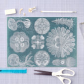 Meereswelt Blueprint IV Seidenpapier (Handwerk)