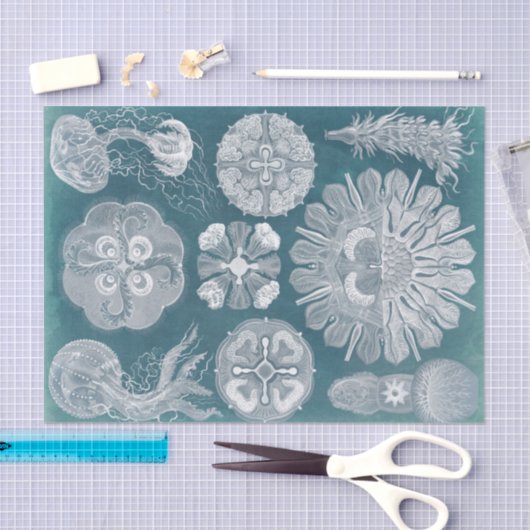 Meereswelt Blueprint IV Seidenpapier (Handwerk)