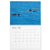 Meereswelt des Dolphin-Wall-Kalenders 2025 Kalender (Feb 2026)
