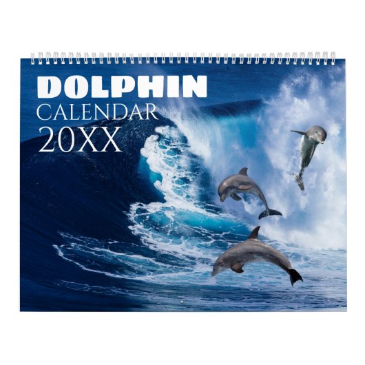Meereswelt des Dolphin-Wall-Kalenders 2025 Kalender (Titelbild)