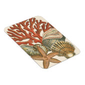 Meereswelt Magnet (Rechte Seite)