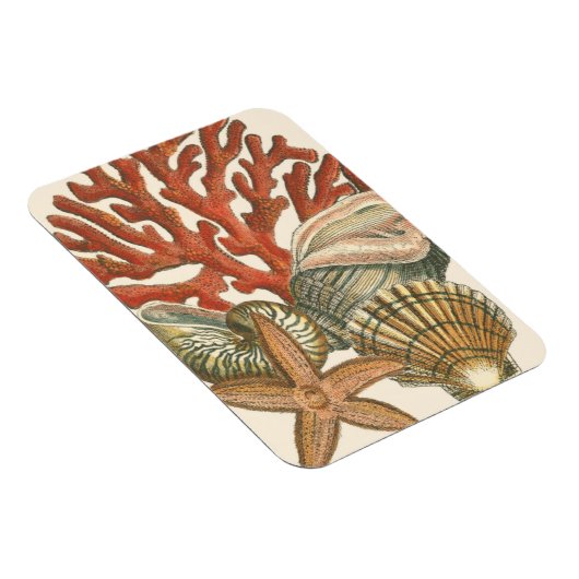 Meereswelt Magnet (Rechte Seite)