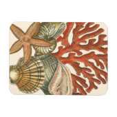 Meereswelt Magnet (Horizontal)