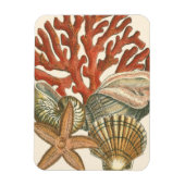 Meereswelt Magnet (Vertikal)