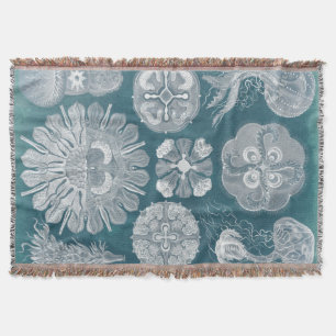 Meereswelt-Plan IV Decke