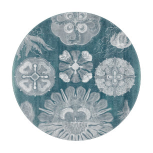 Meereswelt-Plan IV Schneidebrett