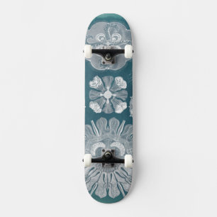 Meereswelt-Plan IV Skateboard