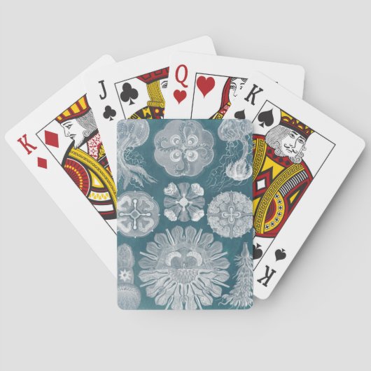 Meereswelt-Plan IV Spielkarten (Rückseite)