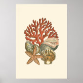 Meereswelt Poster (Vorne)