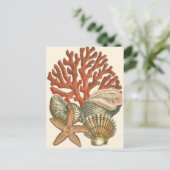 Meereswelt Postkarte (Stehend Vorderseite)