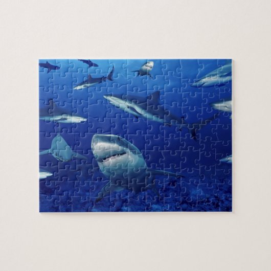 Meereswelt Puzzle-Sharks Jigsaw Puzzle (Horizontal)