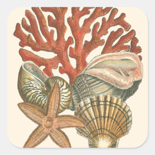 Meereswelt Quadratischer Aufkleber (Vorderseite)