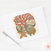 Meereswelt Quadratischer Aufkleber (Umschlag)