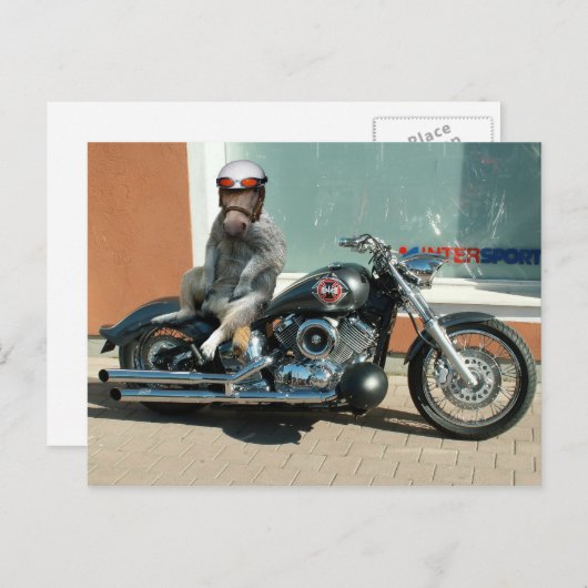 Meerhorse Biker Postkarte (Vorne/Hinten)