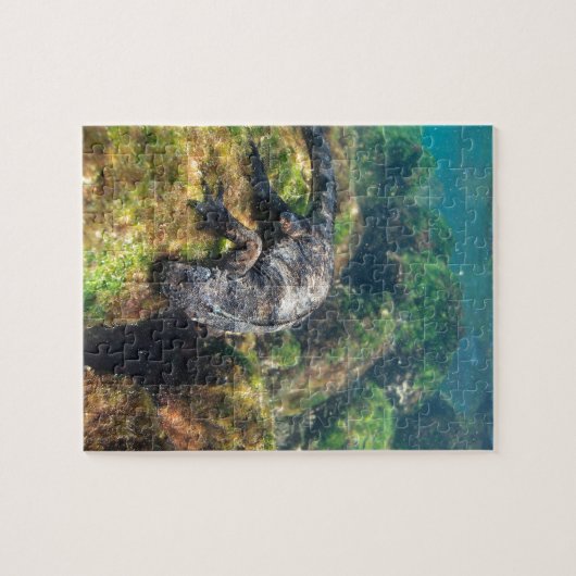 Meeriguana fütternd Unterwasser-Galapagos-Inseln Puzzle (Horizontal)