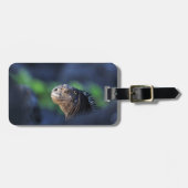 Meeriguana-Galapagos-Inseln Gepäckanhänger (Vorderseite horizontal)