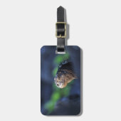 Meeriguana-Galapagos-Inseln Gepäckanhänger (Vorderseite vertikal)