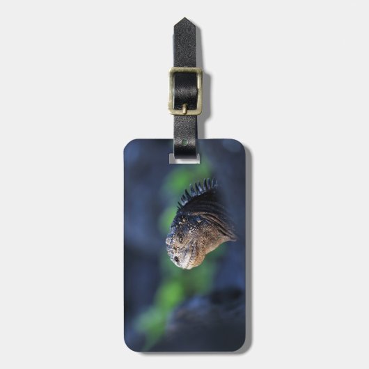 Meeriguana-Galapagos-Inseln Gepäckanhänger (Vorderseite vertikal)