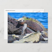 Meeriguana Postkarte (Vorne/Hinten)