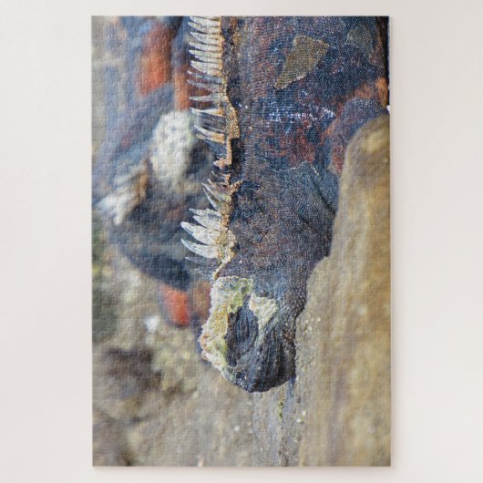 Meeriguana-Schlafplätze Puzzle (Vertikal)