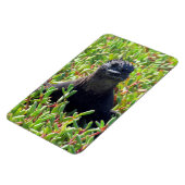 Meeriguanengrün Magnet (Linke Seite)