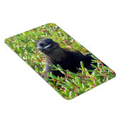 Meeriguanengrün Magnet (Rechte Seite)