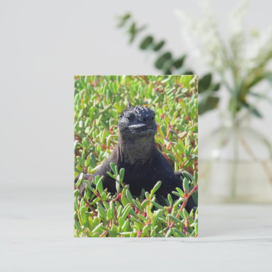 Meeriguanengrün Postkarte (Stehend Vorderseite)