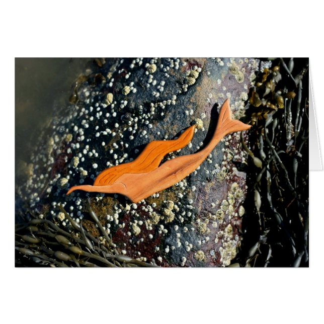 Meerjungentauchen (Vorderseite (Horizontal))