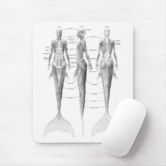 MEERJUNGFRAU-ANATOMIE MOUSEPAD (Mit Mouse)