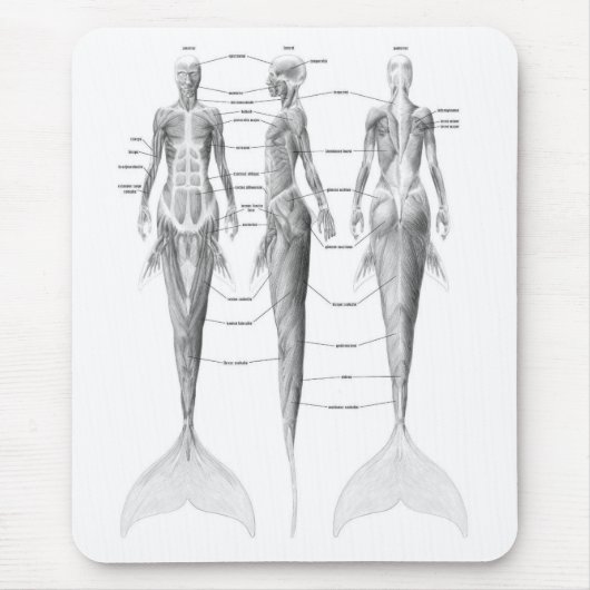 MEERJUNGFRAU-ANATOMIE MOUSEPAD (Vorne)