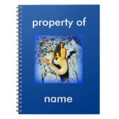 Meerjungfrau auf blau notizblock (Vorderseite)