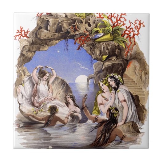 Meerjungfrau-Bucht Fliese (Vorderseite)