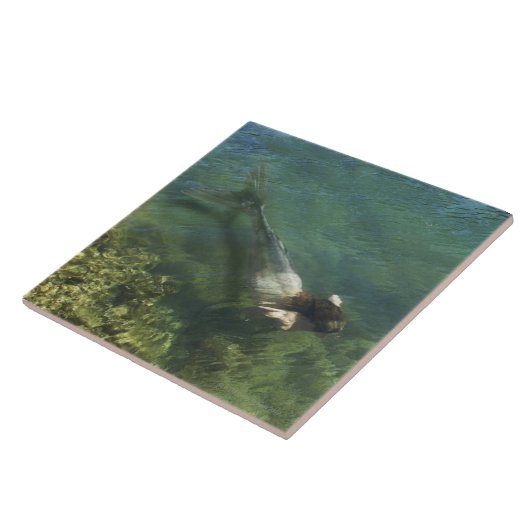 Meerjungfrau, die underwater schwimmt fliese (Seite)