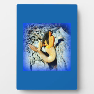 Meerjungfrau Fotoplatte